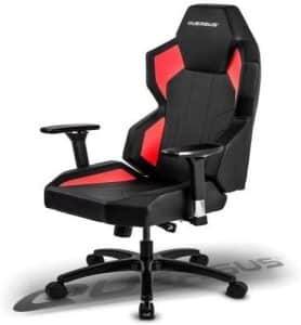Chaise quersus avis